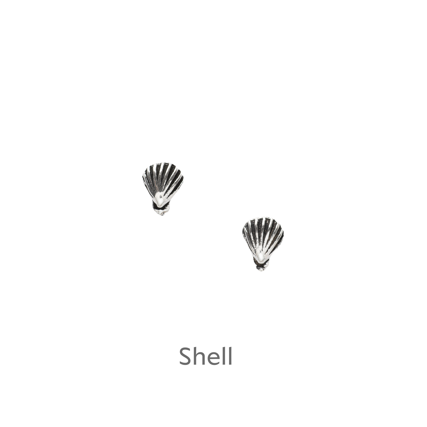 a pair of seashells on a black background