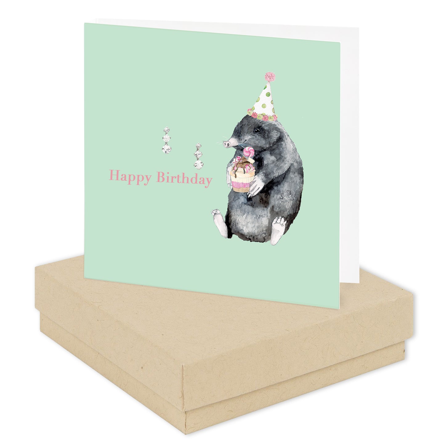 Boxed Mole Happy Birthday Silver Earring Card Earrings Crumble and Core Kraft  