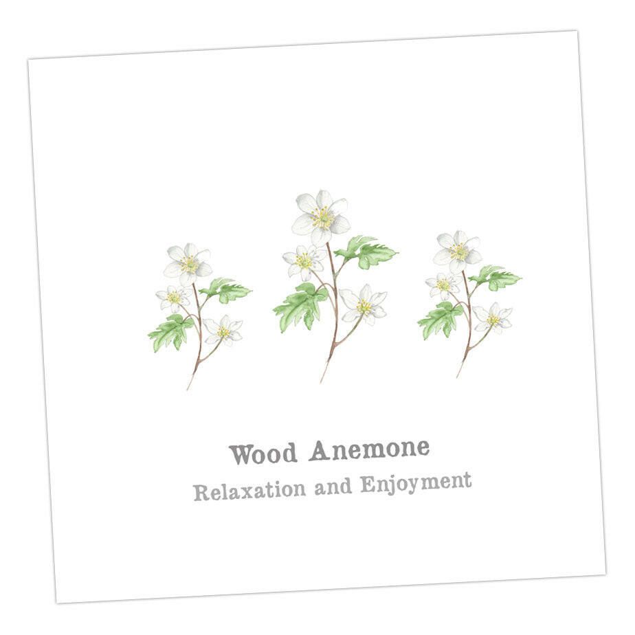 Wood Anenome Card Greeting & Note Cards Crumble and Core   