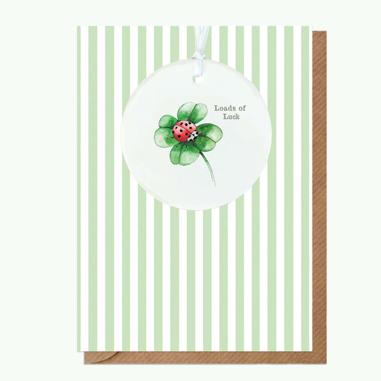 A6 Greeting Card with Ceramic Keepsake - Ladybird Good Luck Greeting & Note Cards Crumble and Core   