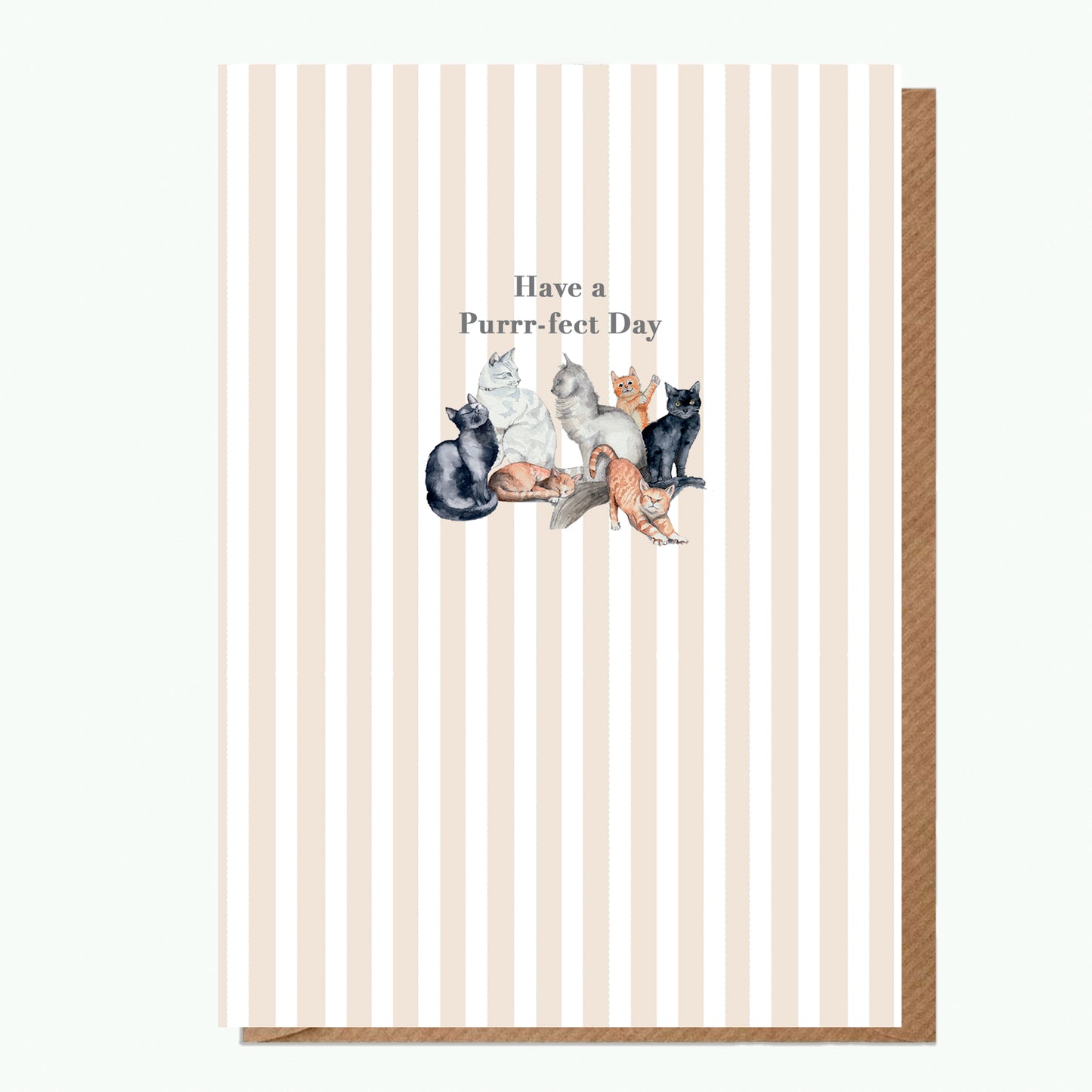 A6 Greeting Card with Ceramic Keepsake - Cats Happy Birthday