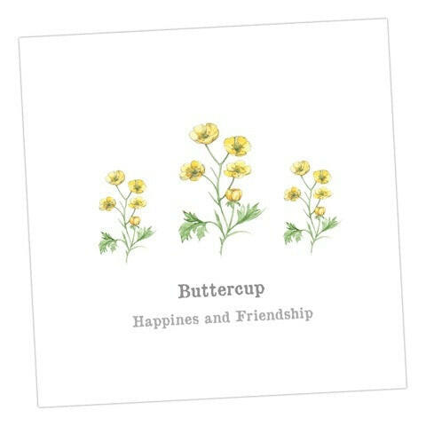 Buttercup Card Greeting & Note Cards Crumble and Core   