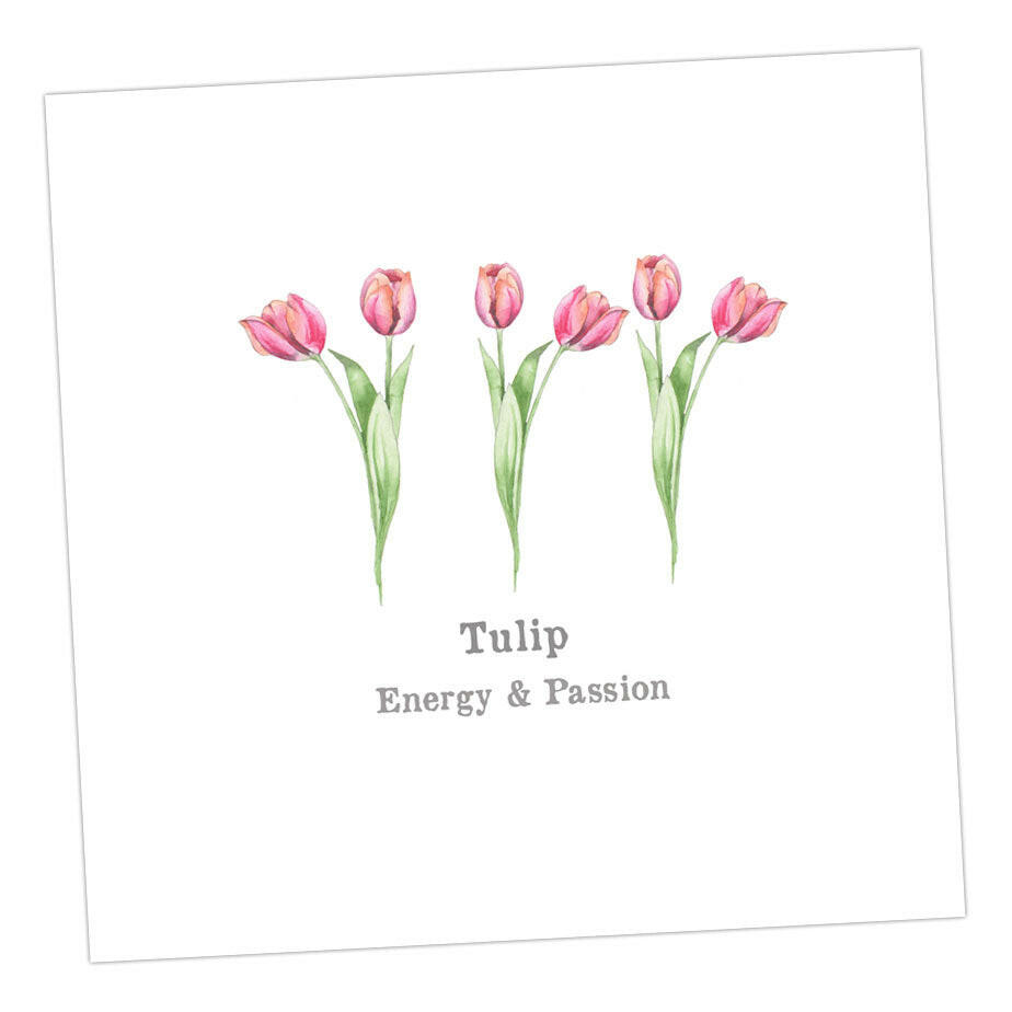 Tulip Card Greeting & Note Cards Crumble and Core 12 x 12 cm  