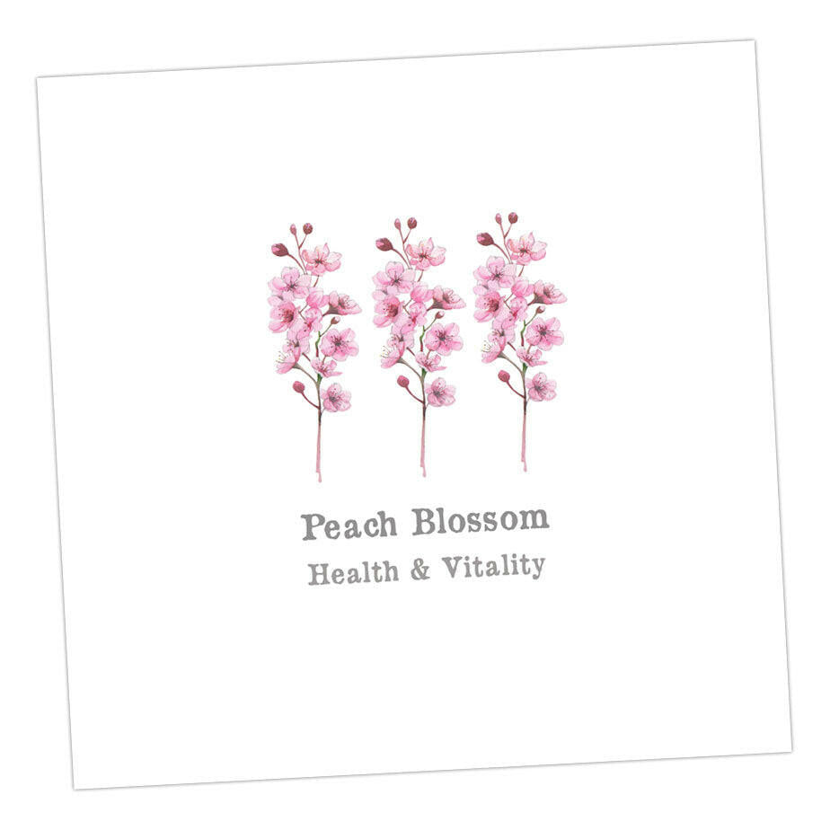 Peach Blossom Card Greeting & Note Cards Crumble and Core 12 x 12 cm  